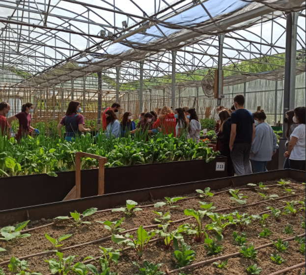 Visitant les instal·lacions i aprenent a plantar tomateres